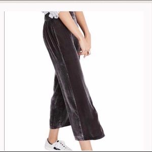 Madewell Velvet Pant